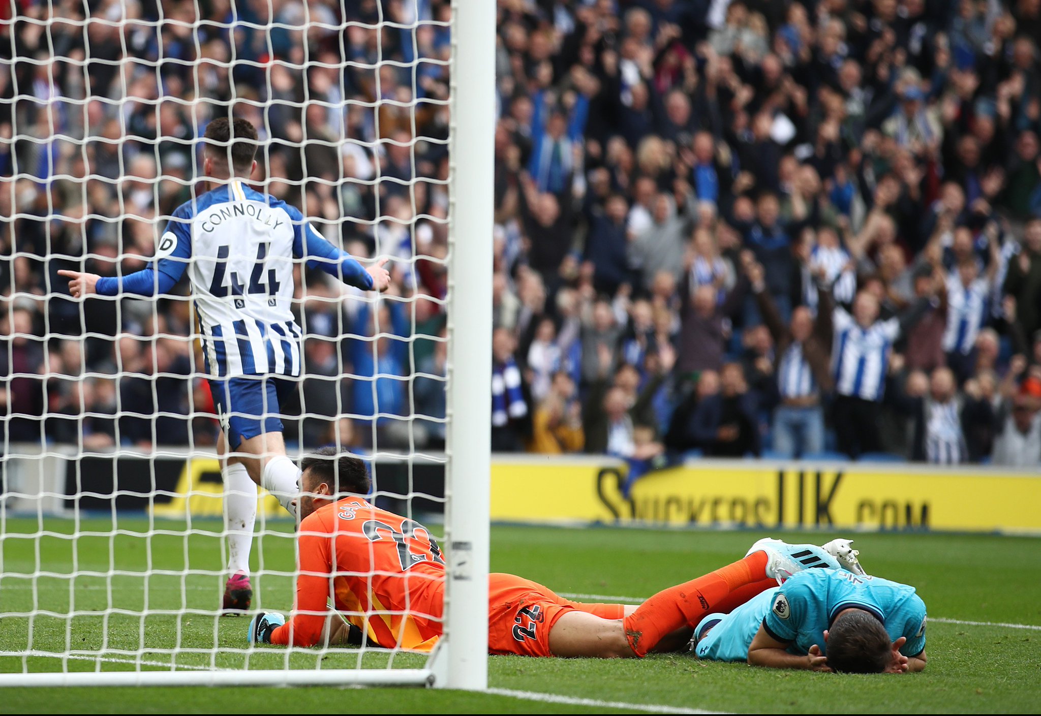 因在于它们 因在于它们